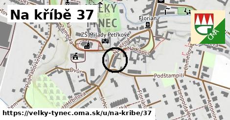 Na kříbě 37, Velký Týnec