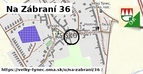 Na Zábraní 36, Velký Týnec