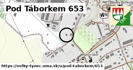 Pod Táborkem 653, Velký Týnec