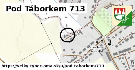 Pod Táborkem 713, Velký Týnec