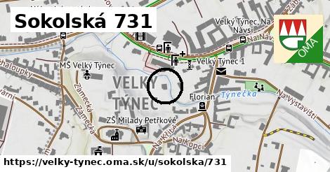 Sokolská 731, Velký Týnec