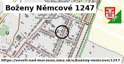 Boženy Němcové 1247, Veselí nad Moravou