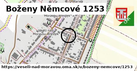 Boženy Němcové 1253, Veselí nad Moravou