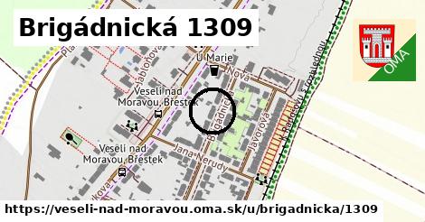 Brigádnická 1309, Veselí nad Moravou