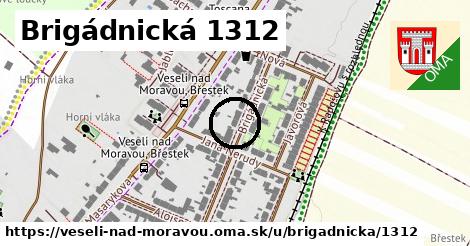 Brigádnická 1312, Veselí nad Moravou