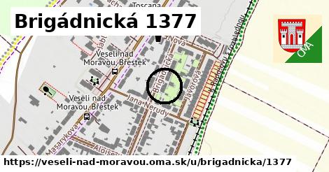 Brigádnická 1377, Veselí nad Moravou