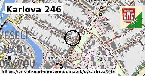 Karlova 246, Veselí nad Moravou