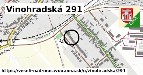 Vinohradská 291, Veselí nad Moravou