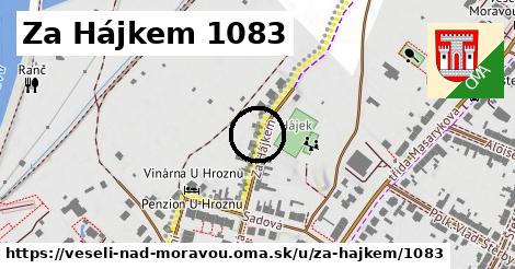 Za Hájkem 1083, Veselí nad Moravou