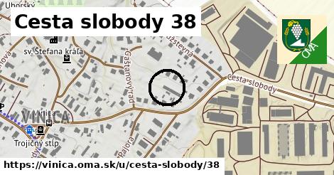 Cesta slobody 38, Vinica