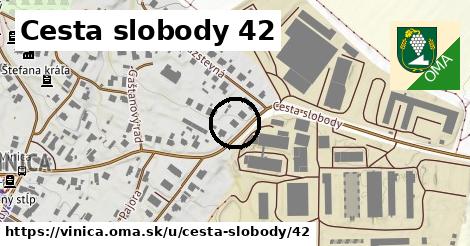 Cesta slobody 42, Vinica
