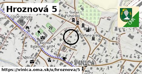 Hroznová 5, Vinica