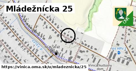 Mládežnícka 25, Vinica