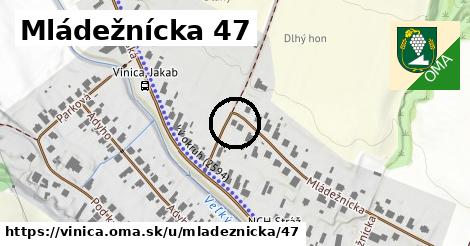 Mládežnícka 47, Vinica