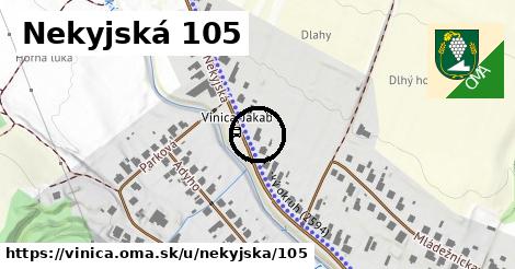 Nekyjská 105, Vinica