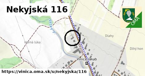 Nekyjská 116, Vinica