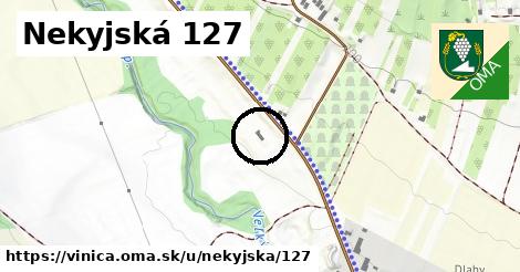 Nekyjská 127, Vinica