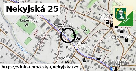 Nekyjská 25, Vinica