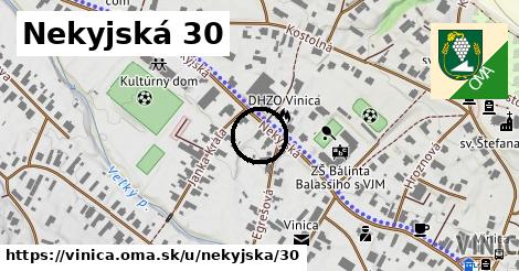 Nekyjská 30, Vinica