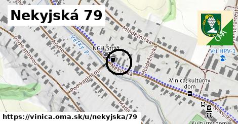 Nekyjská 79, Vinica