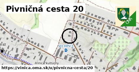Pivničná cesta 20, Vinica
