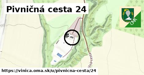 Pivničná cesta 24, Vinica