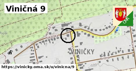 Viničná 9, Viničky