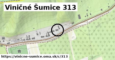 Viničné Šumice <span class="supisne">313</span>