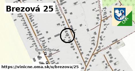 Brezová 25, Viničné