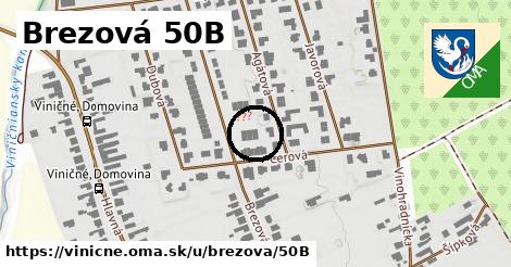 Brezová 50B, Viničné