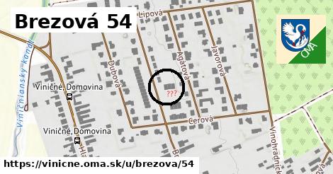 Brezová 54, Viničné