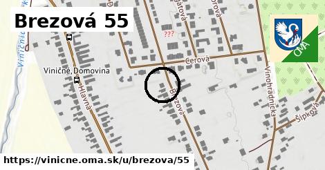 Brezová 55, Viničné