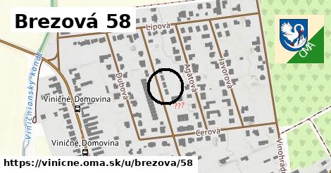 Brezová 58, Viničné