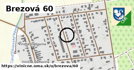 Brezová 60, Viničné