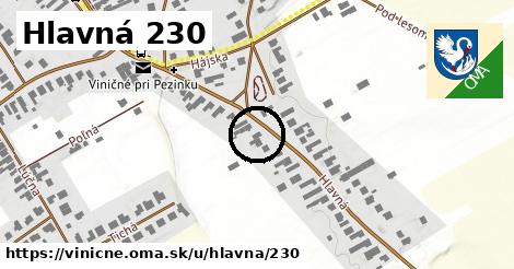 Hlavná 230, Viničné