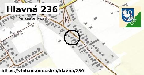 Hlavná 236, Viničné