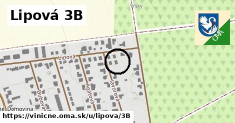 Lipová 3B, Viničné