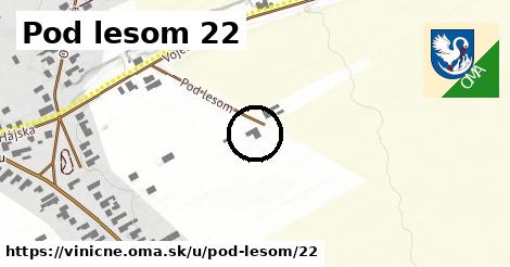 Pod lesom 22, Viničné