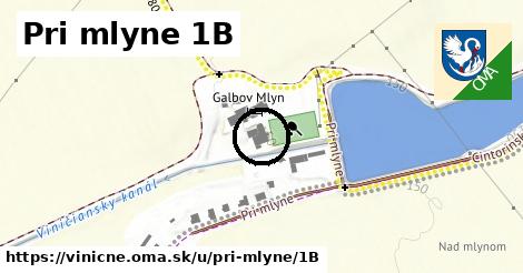 Pri mlyne 1B, Viničné