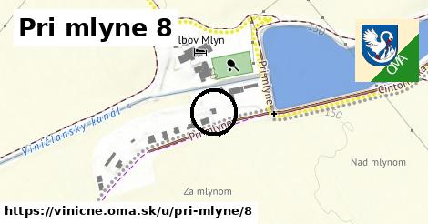 Pri mlyne 8, Viničné