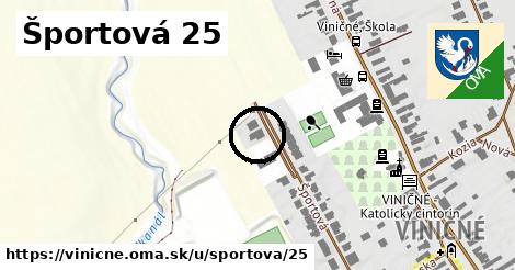 Športová 25, Viničné