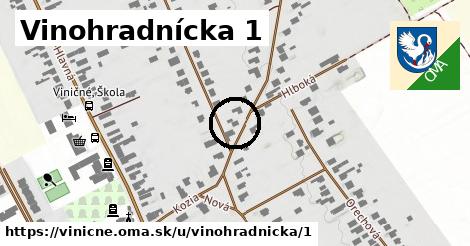 Vinohradnícka 1, Viničné