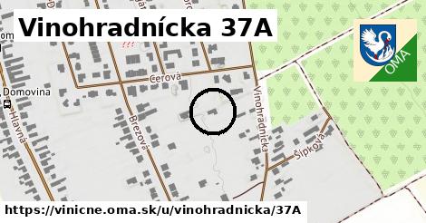 Vinohradnícka 37A, Viničné