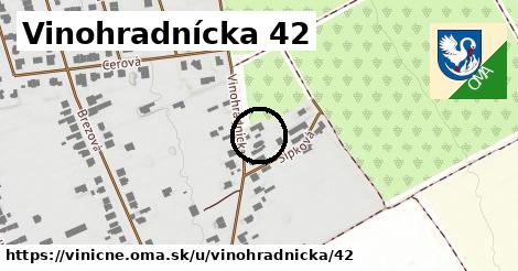 Vinohradnícka 42, Viničné