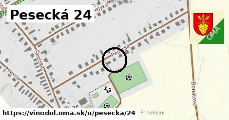 Pesecká 24, Vinodol