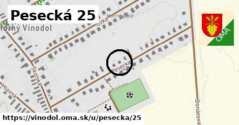 Pesecká 25, Vinodol