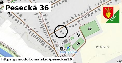 Pesecká 36, Vinodol