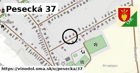 Pesecká 37, Vinodol