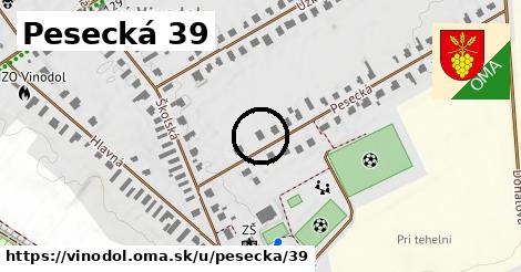Pesecká 39, Vinodol