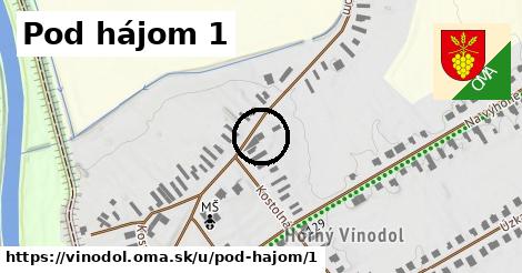 Pod hájom 1, Vinodol